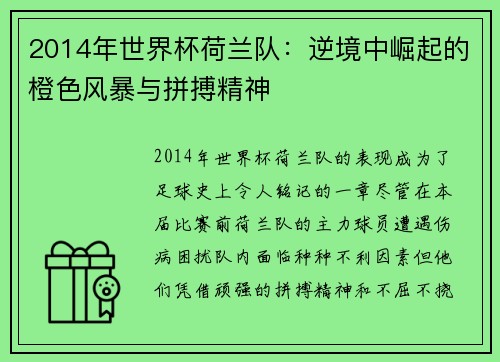 2014年世界杯荷兰队：逆境中崛起的橙色风暴与拼搏精神