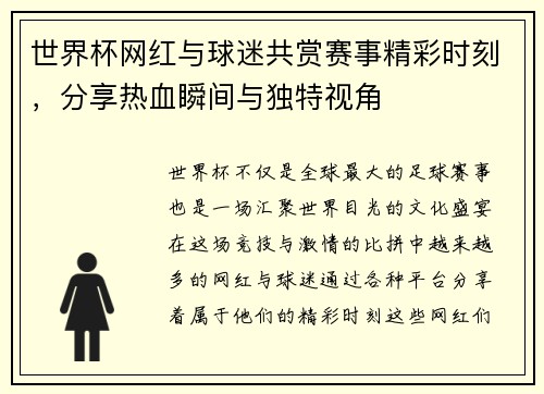 世界杯网红与球迷共赏赛事精彩时刻，分享热血瞬间与独特视角